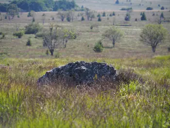 Signal de Botrange (België)